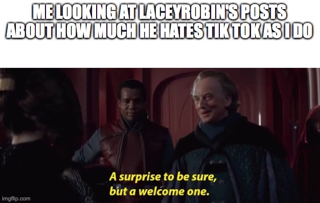 Let Tik Tok have it buddy! | ME LOOKING AT LACEYROBIN'S POSTS ABOUT HOW MUCH HE HATES TIK TOK AS I DO | image tagged in a surprise to be sure | made w/ Imgflip meme maker