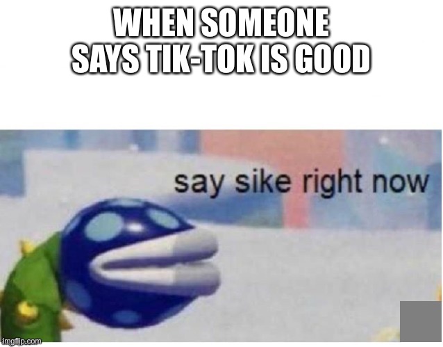 say sike right now | WHEN SOMEONE SAYS TIK-TOK IS GOOD | image tagged in say sike right now | made w/ Imgflip meme maker