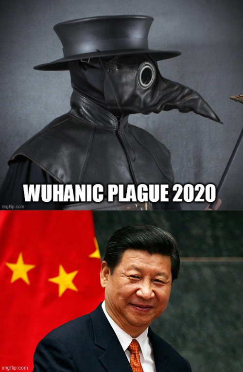 image tagged in xi jinping,china bug | made w/ Imgflip meme maker