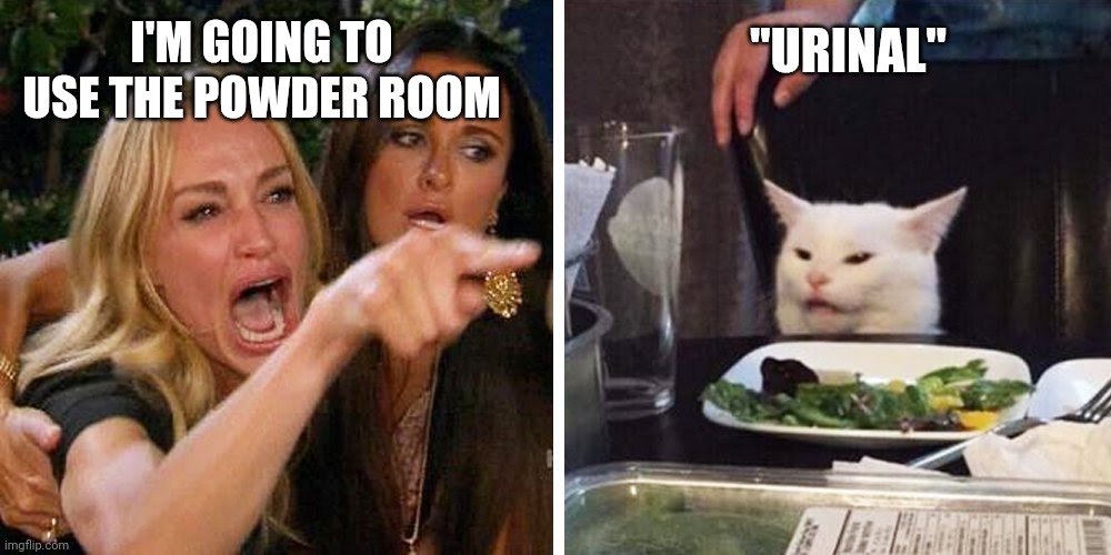Bathroom | "URINAL"; I'M GOING TO USE THE POWDER ROOM | image tagged in smudge the cat | made w/ Imgflip meme maker
