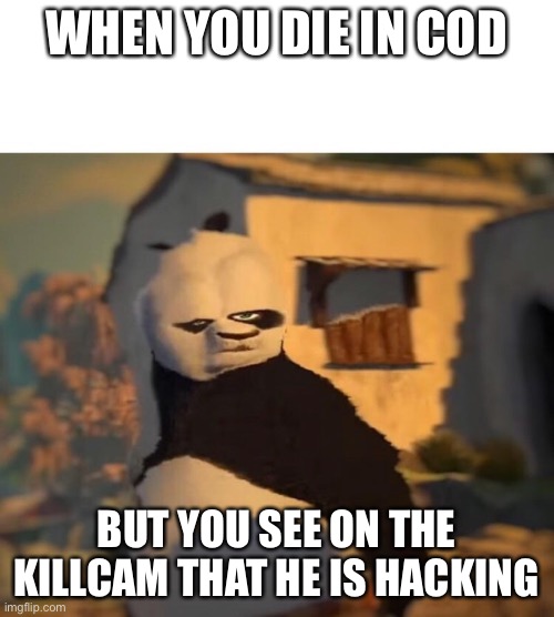 Drunk Kung Fu Panda | WHEN YOU DIE IN COD; BUT YOU SEE ON THE KILLCAM THAT HE IS HACKING | image tagged in drunk kung fu panda | made w/ Imgflip meme maker