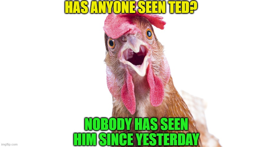 HAS ANYONE SEEN TED? NOBODY HAS SEEN HIM SINCE YESTERDAY | made w/ Imgflip meme maker