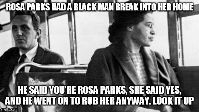 rosa parks | ROSA PARKS HAD A BLACK MAN BREAK INTO HER HOME; HE SAID YOU'RE ROSA PARKS, SHE SAID YES, AND HE WENT ON TO ROB HER ANYWAY. LOOK IT UP | image tagged in rosa parks | made w/ Imgflip meme maker