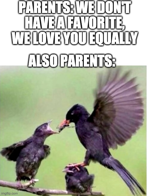 Parents | PARENTS: WE DON'T HAVE A FAVORITE, WE LOVE YOU EQUALLY; ALSO PARENTS: | image tagged in make me baby jesus moderator,memes,funny,parents | made w/ Imgflip meme maker