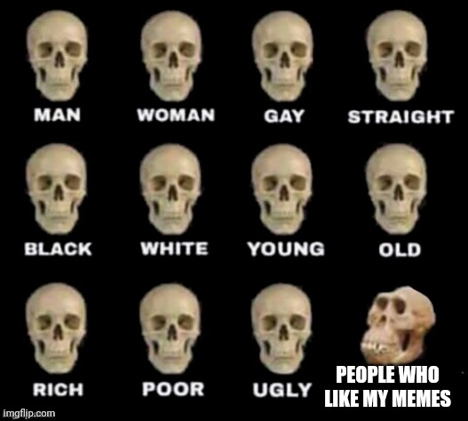 idiot skull | PEOPLE WHO LIKE MY MEMES | image tagged in idiot skull | made w/ Imgflip meme maker