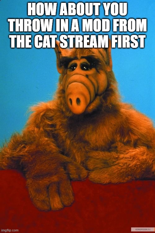 Headbanzer Meme | HOW ABOUT YOU THROW IN A MOD FROM THE CAT STREAM FIRST | image tagged in memes,headbanzer | made w/ Imgflip meme maker