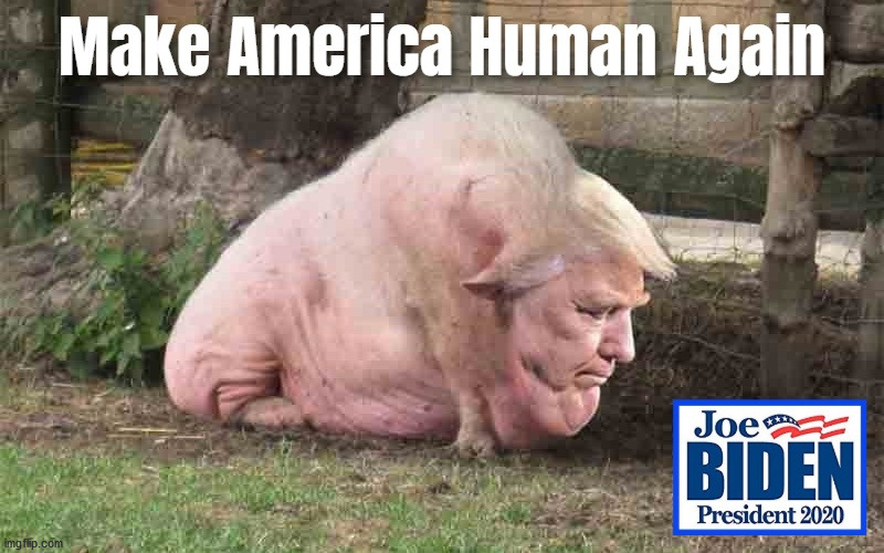 Make America Human Again | image tagged in make america human again | made w/ Imgflip meme maker