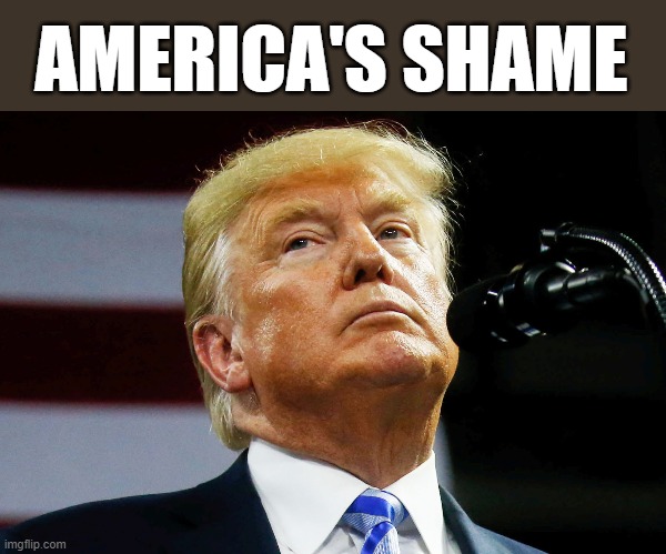 America's Shame | AMERICA'S SHAME | image tagged in america's shame | made w/ Imgflip meme maker