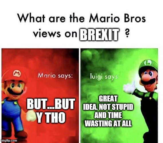 Mario Bros Views | BREXIT; BUT...BUT Y THO; GREAT IDEA. NOT STUPID AND TIME WASTING AT ALL | image tagged in mario bros views | made w/ Imgflip meme maker