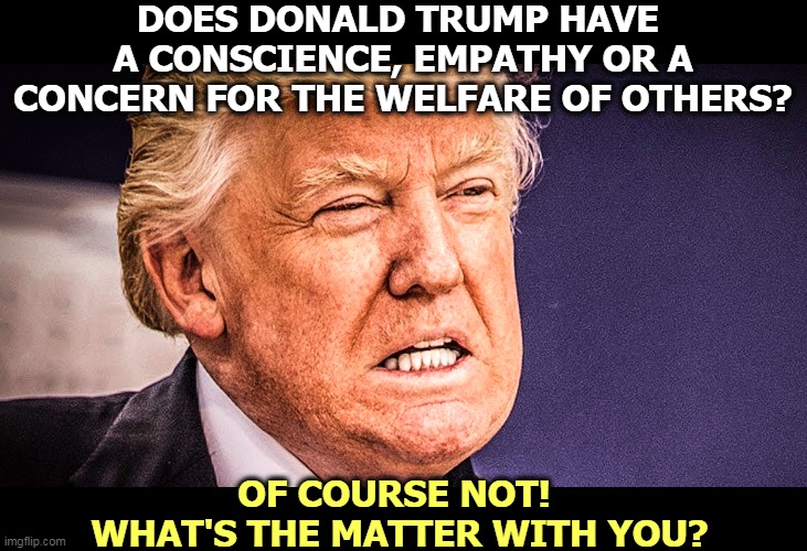 Trump has never displayed the slightest signs of any of these. | DOES DONALD TRUMP HAVE 
A CONSCIENCE, EMPATHY OR A
CONCERN FOR THE WELFARE OF OTHERS? OF COURSE NOT! 
WHAT'S THE MATTER WITH YOU? | image tagged in trump,psycho,sociopath,crazy,nuts,monster | made w/ Imgflip meme maker