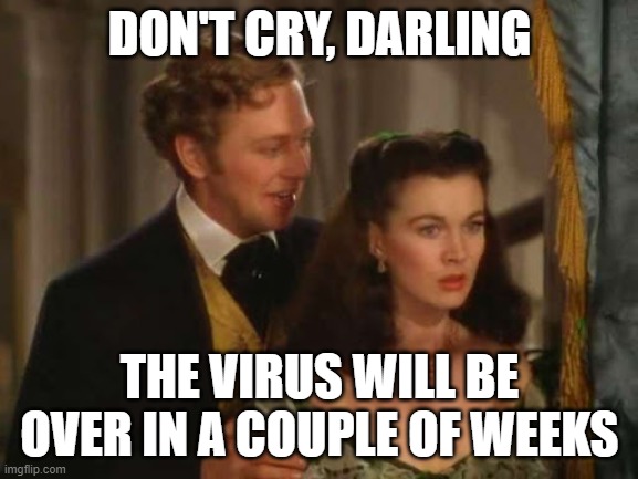 gone with the wind | DON'T CRY, DARLING; THE VIRUS WILL BE OVER IN A COUPLE OF WEEKS | image tagged in covid,virus,over in a few weeks,scarlette | made w/ Imgflip meme maker