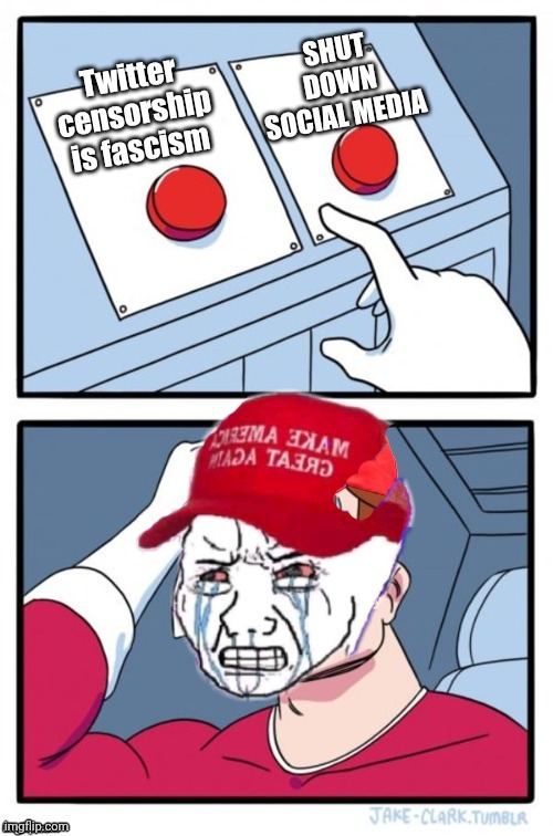 Free market capitalism maga | image tagged in maga hat,trump supporters,free market,capitalism,communism and capitalism,fascism | made w/ Imgflip meme maker