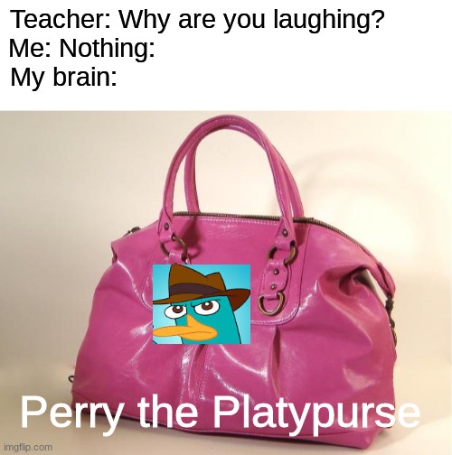 Why did I make this? | Teacher: Why are you laughing?        
Me: Nothing:                                        
My brain:; Perry the Platypurse | image tagged in blank white template,pursey,phineas and ferb | made w/ Imgflip meme maker