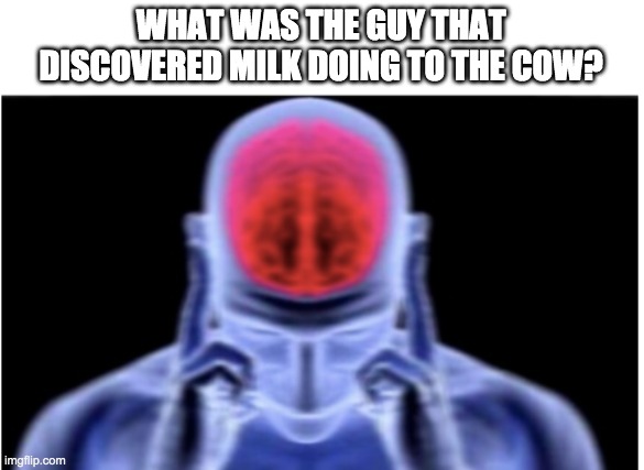 Milk Cow | WHAT WAS THE GUY THAT DISCOVERED MILK DOING TO THE COW? | image tagged in milk,memes,make me baby jesus moderator,funny | made w/ Imgflip meme maker