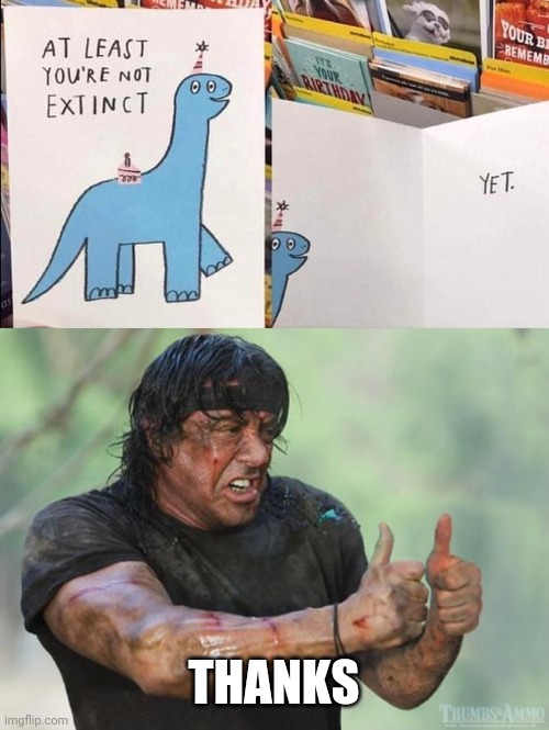 THANKS | image tagged in positive rambo | made w/ Imgflip meme maker