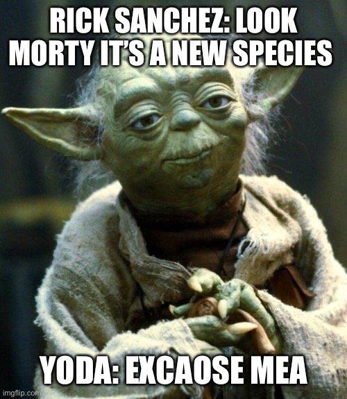 When you land on a new planet | RICK SANCHEZ: LOOK MORTY IT’S A NEW SPECIES; YODA: EXCAOSE MEA | image tagged in memes,star wars yoda | made w/ Imgflip meme maker