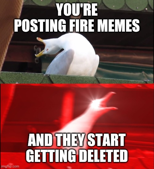 Screaming bird | YOU'RE POSTING FIRE MEMES; AND THEY START GETTING DELETED | image tagged in screaming bird | made w/ Imgflip meme maker