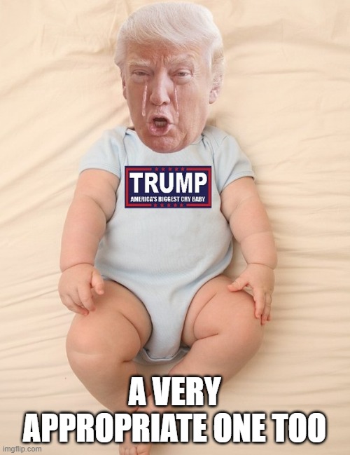 Crying Trump Baby | A VERY APPROPRIATE ONE TOO | image tagged in crying trump baby | made w/ Imgflip meme maker