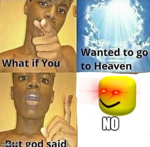 a normal img flip meme i think | NO | image tagged in what if you wanted to go to heaven | made w/ Imgflip meme maker