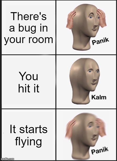 Run! | There's a bug in your room; You hit it; It starts flying | image tagged in memes,panik kalm panik,funny,bugs,panic | made w/ Imgflip meme maker