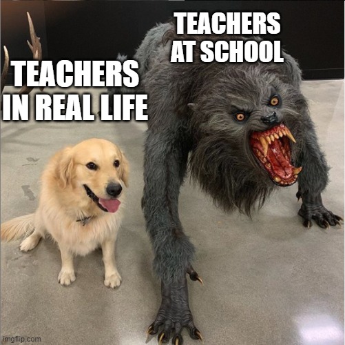 dog vs werewolf | TEACHERS AT SCHOOL; TEACHERS IN REAL LIFE | image tagged in dog vs werewolf | made w/ Imgflip meme maker