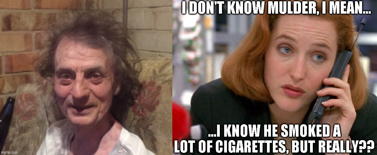 scully doesn't believe | I DON'T KNOW MULDER, I MEAN... ...I KNOW HE SMOKED A LOT OF CIGARETTES, BUT REALLY?? | image tagged in x files,x-files,scully,funny,memes,scully doesn't believe | made w/ Imgflip meme maker