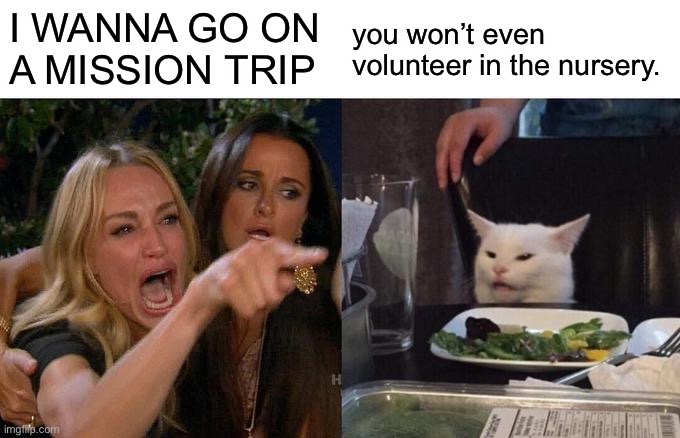 Woman Yelling At Cat | I WANNA GO ON A MISSION TRIP; you won’t even volunteer in the nursery. | image tagged in memes,woman yelling at cat | made w/ Imgflip meme maker