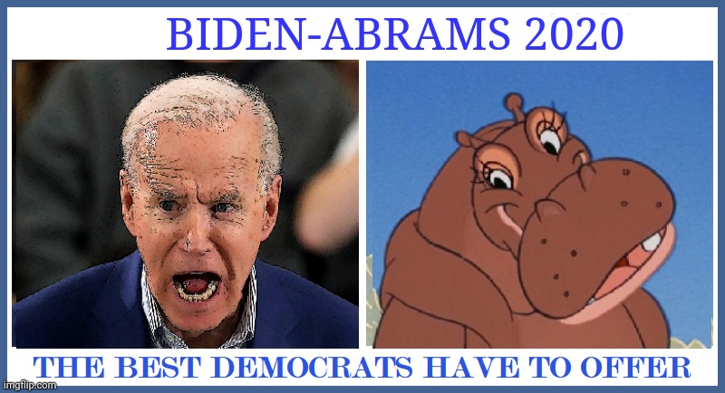 The Best Democrats have to offer | BIDEN-ABRAMS 2020 | image tagged in joe biden,vice president,hippopotamus | made w/ Imgflip meme maker