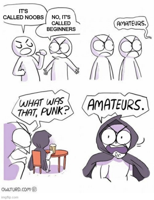 Amateurs | NO, IT'S CALLED BEGINNERS; IT'S CALLED NOOBS | image tagged in amateurs | made w/ Imgflip meme maker