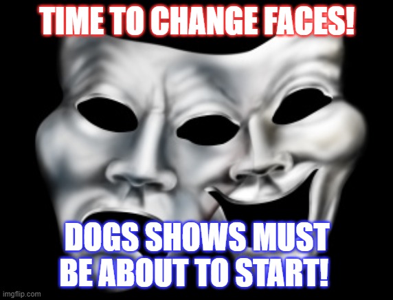 Dog Shows | TIME TO CHANGE FACES! DOGS SHOWS MUST BE ABOUT TO START! | image tagged in dog shows | made w/ Imgflip meme maker