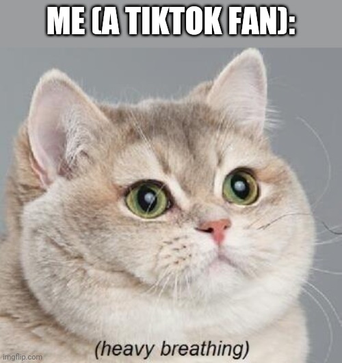 Heavy Breathing Cat Meme | ME (A TIKTOK FAN): | image tagged in memes,heavy breathing cat | made w/ Imgflip meme maker