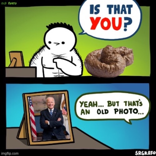 image tagged in memes,wtf is that,joe biden,biden,vice president,losers | made w/ Imgflip meme maker