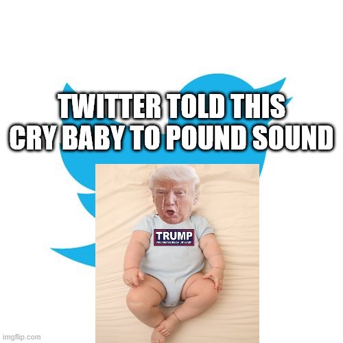 Twitter birds says | TWITTER TOLD THIS CRY BABY TO POUND SOUND | image tagged in twitter birds says | made w/ Imgflip meme maker