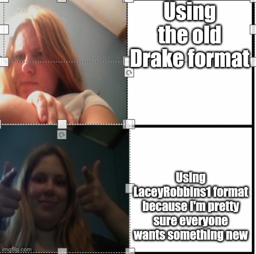 Using the old Drake format; Using LaceyRobbins1 format because I'm pretty sure everyone wants something new | image tagged in hotline bling laceyrobbins1 edition | made w/ Imgflip meme maker