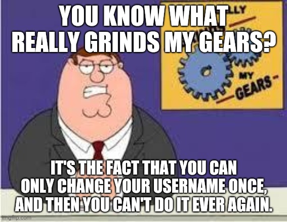 We really should get a option where we can change our usernames every 30 days, and not just once | YOU KNOW WHAT REALLY GRINDS MY GEARS? IT'S THE FACT THAT YOU CAN ONLY CHANGE YOUR USERNAME ONCE, AND THEN YOU CAN'T DO IT EVER AGAIN. | image tagged in you know what really grinds my gears | made w/ Imgflip meme maker