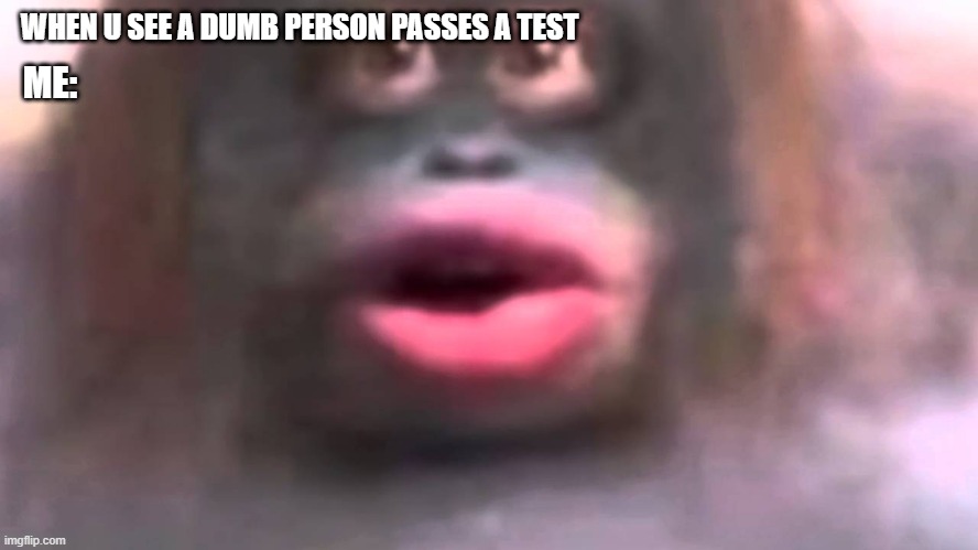 something i created | WHEN U SEE A DUMB PERSON PASSES A TEST; ME: | image tagged in uh oh stinky | made w/ Imgflip meme maker