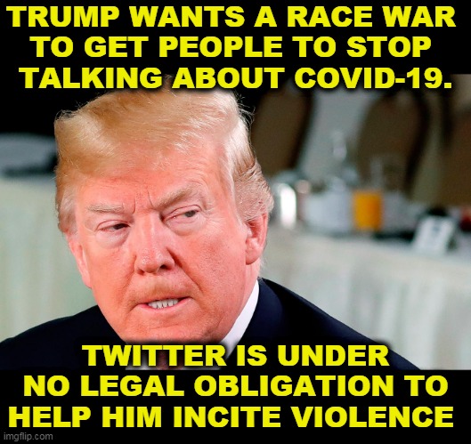 Trump's executive order is going nowhere. Only Congress can change the law. |  TRUMP WANTS A RACE WAR 
TO GET PEOPLE TO STOP 
TALKING ABOUT COVID-19. TWITTER IS UNDER NO LEGAL OBLIGATION TO HELP HIM INCITE VIOLENCE | image tagged in trump lip curl as his world goes to shit,trump,racist,bully,desperation | made w/ Imgflip meme maker