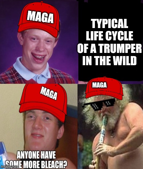 Trumper cycle | TYPICAL LIFE CYCLE OF A TRUMPER IN THE WILD; MAGA; MAGA | image tagged in trump,santa,ralphie | made w/ Imgflip meme maker