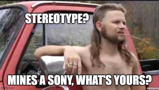 stereotype | STEREOTYPE? MINES A SONY, WHAT'S YOURS? | image tagged in almost politically correct redneck | made w/ Imgflip meme maker