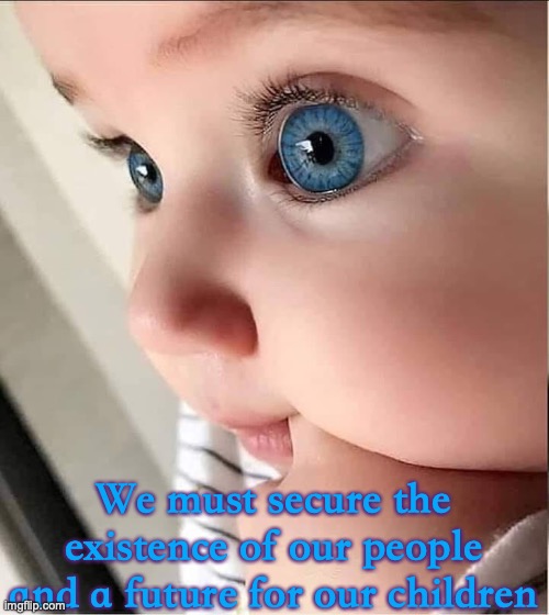 14 words | We must secure the existence of our people and a future for our children | image tagged in 14 words | made w/ Imgflip meme maker