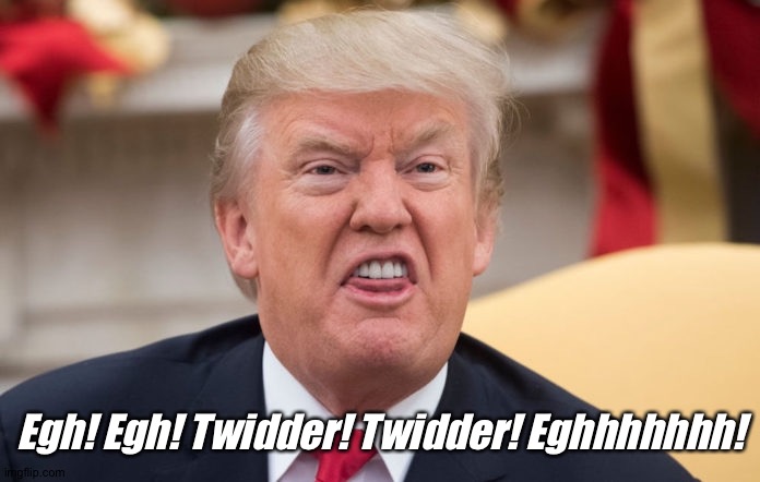 Twidder Trump | Egh! Egh! Twidder! Twidder! Eghhhhhhh! | image tagged in child,president,trump,twitter,maga,snowflakes | made w/ Imgflip meme maker