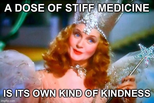 Telling people to their face they are being hateful bigots is its own kind of cure. If I don’t do it, who will? | A DOSE OF STIFF MEDICINE; IS ITS OWN KIND OF KINDNESS | image tagged in glinda the good witch,bigotry,bigots,love,hate,bigot | made w/ Imgflip meme maker