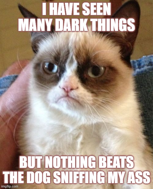 Grumpy Cat | I HAVE SEEN MANY DARK THINGS; BUT NOTHING BEATS THE DOG SNIFFING MY ASS | image tagged in memes,grumpy cat | made w/ Imgflip meme maker