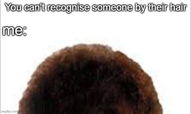 You can't recognise somebody by their hair. Or can you? |  You can't recognise someone by their hair; me: | image tagged in memes,bob ross | made w/ Imgflip meme maker