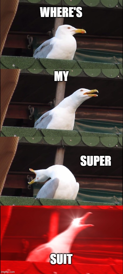 Where's My Super Suit | WHERE'S; MY; SUPER; SUIT | image tagged in memes,inhaling seagull | made w/ Imgflip meme maker