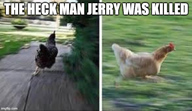 running chicken | THE HECK MAN JERRY WAS KILLED | image tagged in running chicken | made w/ Imgflip meme maker