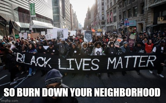 Black lives matter | SO BURN DOWN YOUR NEIGHBORHOOD | image tagged in black lives matter | made w/ Imgflip meme maker