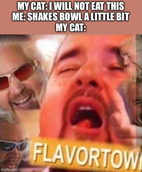 MY CAT: I WILL NOT EAT THIS
ME: SHAKES BOWL A LITTLE BIT
MY CAT: | image tagged in guy fieri | made w/ Imgflip meme maker