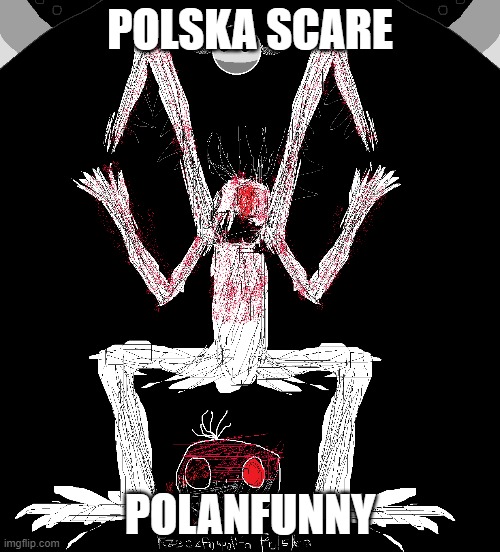 POLSKA SCARE; POLANFUNNY | image tagged in lithuaniaspheres | made w/ Imgflip meme maker