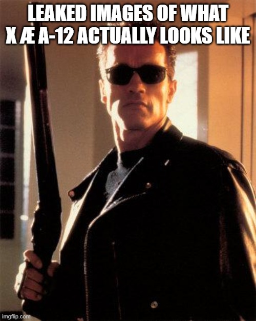 Terminator 2 |  LEAKED IMAGES OF WHAT X Æ A-12 ACTUALLY LOOKS LIKE | image tagged in terminator 2 | made w/ Imgflip meme maker